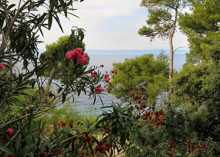 By The Sea Prigradica, Korcula - 9141 Appartement *