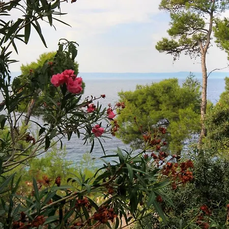 By The Sea Prigradica, Korcula - 9141 Apartamento *